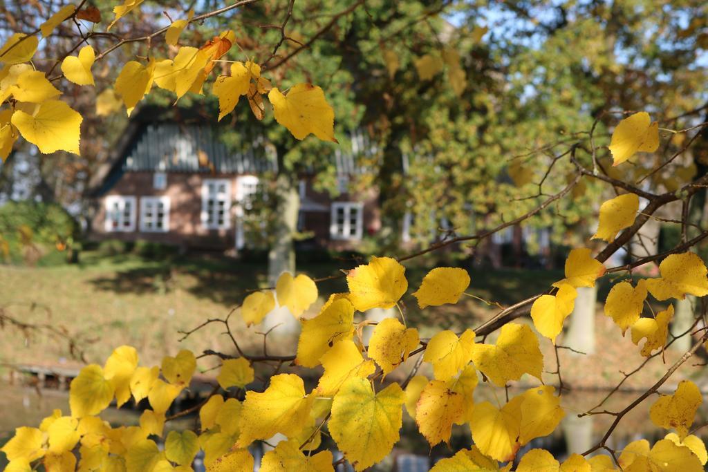 Bielenberg 37 Villa Kollmar Eksteriør billede